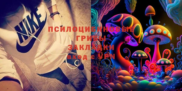 крисы Алзамай