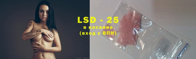 крисы Алзамай