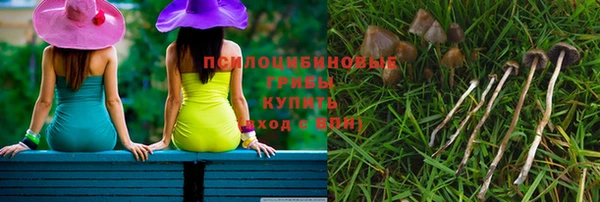 гашиш Ельня